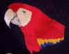 Scarlet Macaw 2.jpg (716199 bytes)