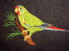 Swift parrot.jpg (2149188 bytes)